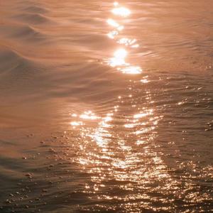 男女激情四射视频
