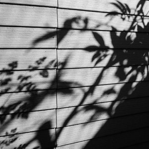 男女激情四射视频
